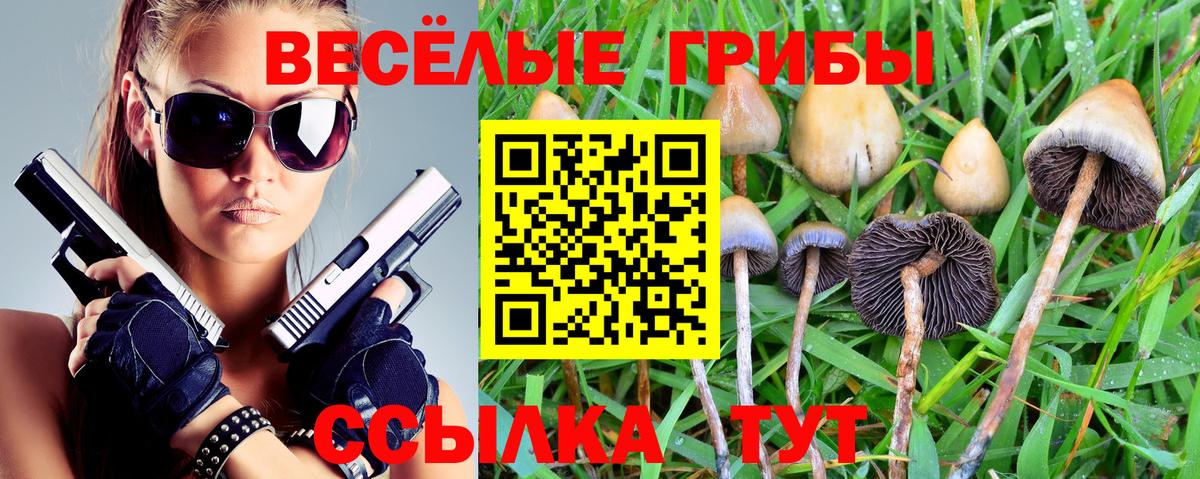 даркнет сайт  Псилоцибиновые грибы прущие грибы  Вход с VPN  Кызыл 